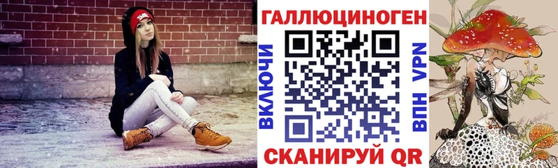 blacksprut зеркало  как найти закладки  Кропоткин  Псилоцибиновые грибы Psilocybine cubensis 